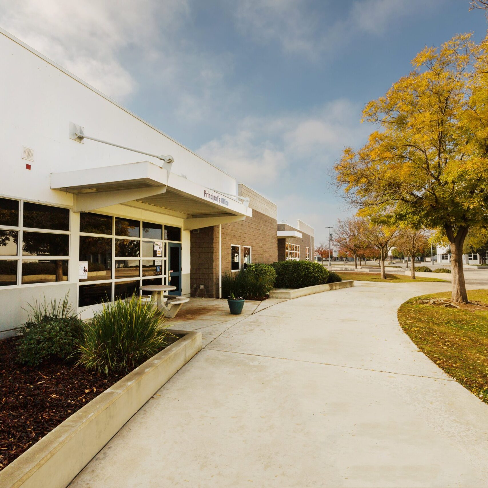 The exterior of a modern school building with a long, curved sidewalk in the foreground. The building is white with large windows, and a section of brown brick wall. The building's entrance is marked with a sign that says "Principal's Office". There are trees with yellow leaves and green shrubs in the foreground.
